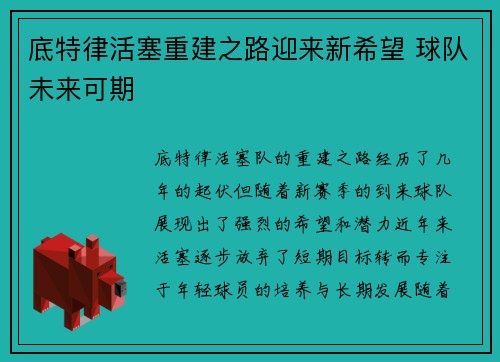 底特律活塞重建之路迎来新希望 球队未来可期