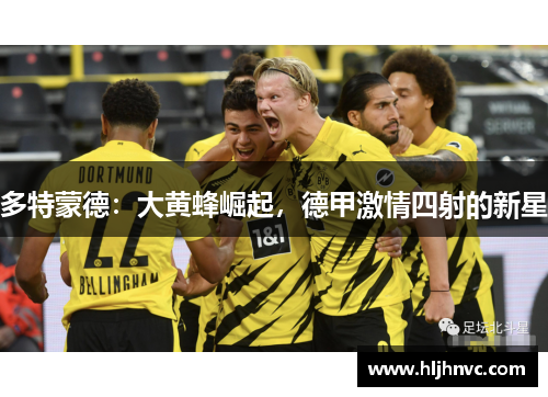 多特蒙德：大黄蜂崛起，德甲激情四射的新星