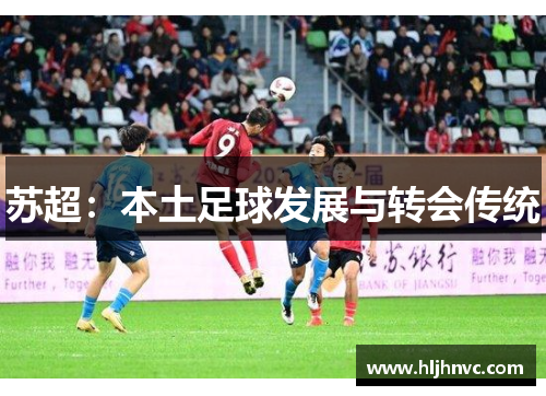 苏超：本土足球发展与转会传统